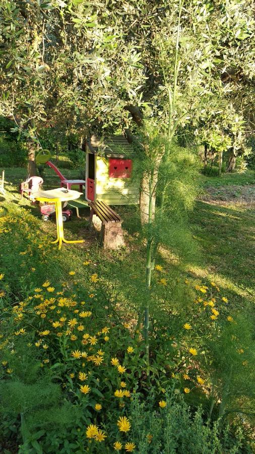 Apartma Marinka Piran Exterior foto