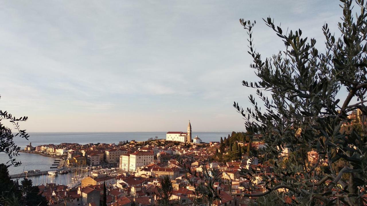 Apartma Marinka Piran Exterior foto
